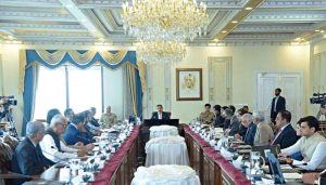 "Caretaker Cabinet Approves Ordinance for Privatization of Government Entities