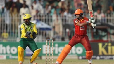 Babar and Rauf Star as Stallions Outshine Lions