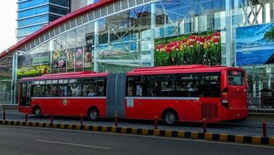 PTI's Nationwide Protests Lead to Suspension of Bus Services in Islamabad and Rawalpindi