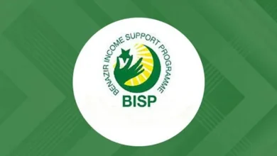 BISP 8171 Portal Temporarily Restricts Payment Details