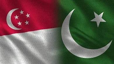 Pakistan and Singapore Explore Manufacturing Collaboration