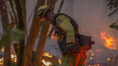 Firefighters Gain Control Over California’s Mountain Fire, Many Evacuees Begin Returning