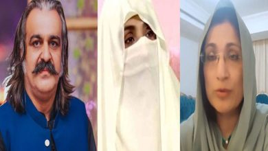 Mariam Riaz Watoo accuses Ali Amin Gandapur of detaining Bushra Bibi