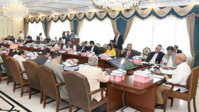 Majority of Federal Cabinet supports imposition of Governor's Rule in KP