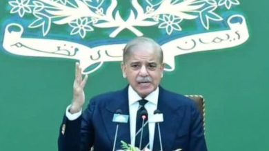 PM Shehbaz accuses PTI of fueling economic instability, vows to strengthen Pakistan's economy