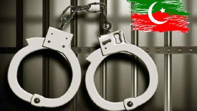 PTI Worker Arrested in London for Threatening Sharif Family