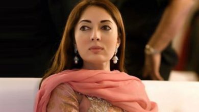 PPP open to forming next government, says Sharmila Farooqui