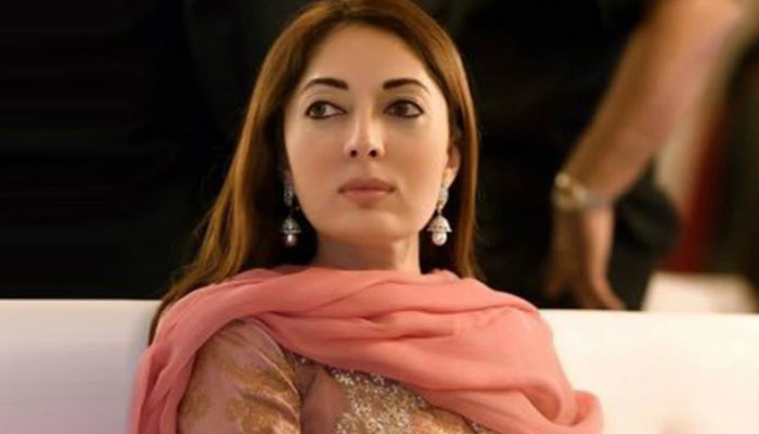 PPP open to forming next government, says Sharmila Farooqui