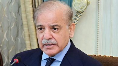 PM SHehbaz