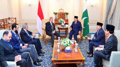 PM Shehbaz Meets Indonesian President in Cairo to Strengthen Bilateral Relations