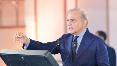 PM Shehbaz Sharif Urges Swift Completion of Low-Cost Housing Projects