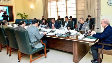 PM Shehbaz Orders Fast-Track Completion of Business Centres