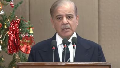 PM Shehbaz Sharif Emphasizes Ending Discrimination and Promoting Unity on Christmas