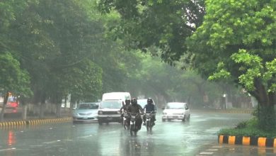 Islamabad Weather Update: PMD predicts more rains, intensifying cold wave