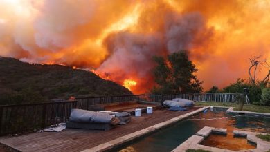 Los Angeles Wildfires: Death Toll Rises to 16 as Flames Continue to Spread