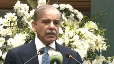 PM Shehbaz Calls for Sustainable Growth, Assures Economic Recovery