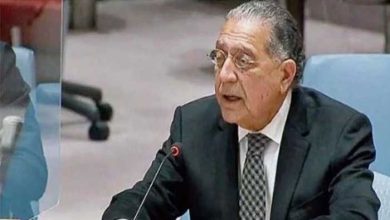 Pakistan Raises Security Concerns at UN, Urges Global Action Against Terrorism