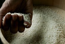 CCP approves acquisition of Engro Eximp Agriproducts by MAP Rice Mills