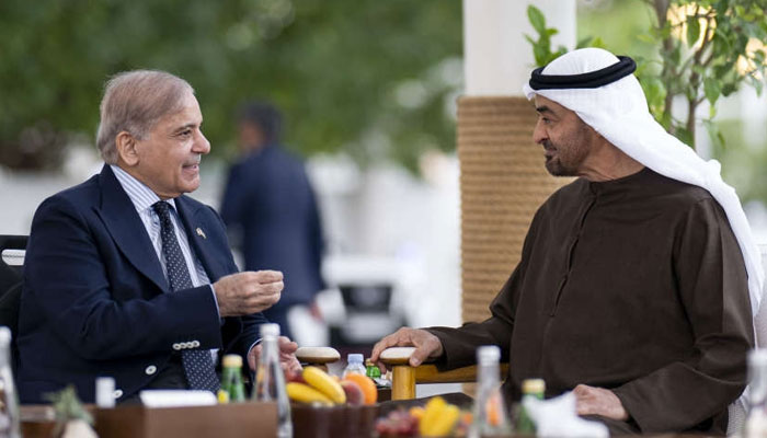 PM Shehbaz Meets UAE President to Discuss Bilateral Cooperation & Global Governance