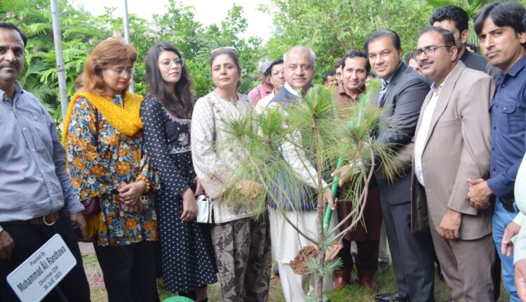 160 Buses Now Operational in Islamabad, Real-Time Tracking Soon on Google Maps