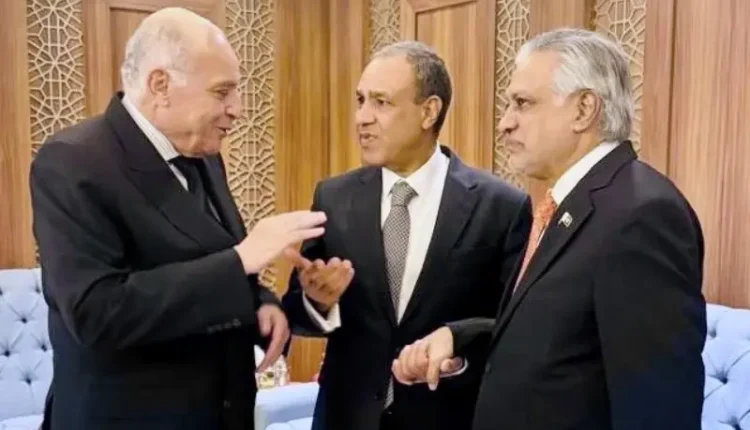 Deputy PM Ishaq Dar meeting Egypt and Algeria's foreign ministers during the OIC session in Jeddah.