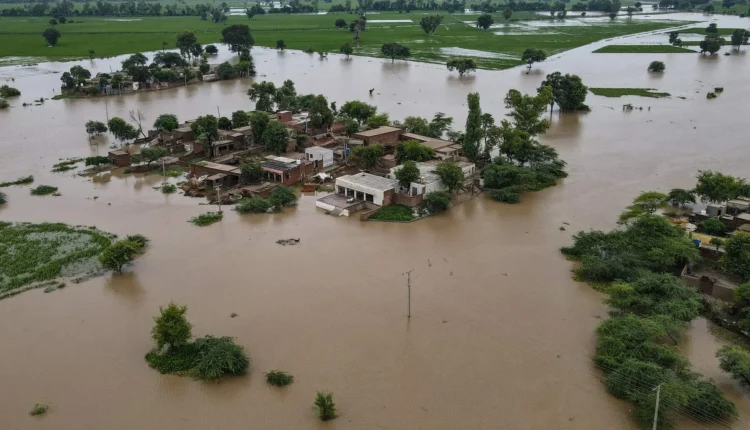 Sutlej River floods in Punjab after India releases water, destroying crops, damaging houses, and forcing villagers to migrate