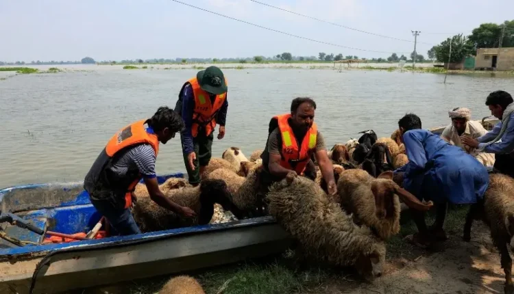 Flood evacuation in Punjab as NDMA relocates thousands amid heavy rain and rising river water levels.