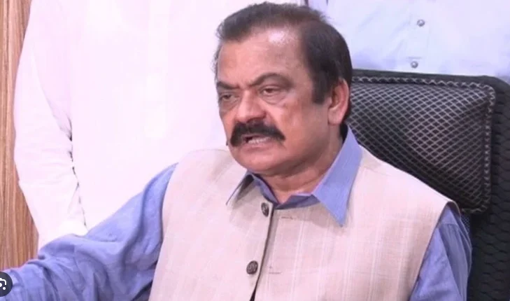 Rana Sana