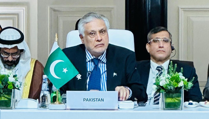 Two Billion Eyes on Islamic Summit in Qatar: Pakistan’s FM Ishaq Dar