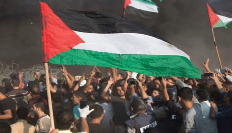 Belgium, Luxembourg, and Malta Officially Recognize Palestine at UN General Assembly