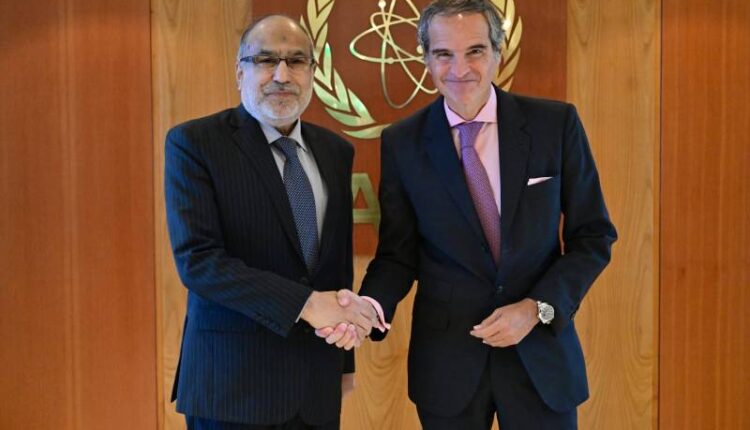 IAEA Chief praises Pakistan’s steady progress in peaceful nuclear program