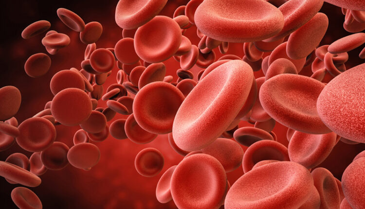 Cambridge Scientists Create Human Blood Cells from Stem Cells