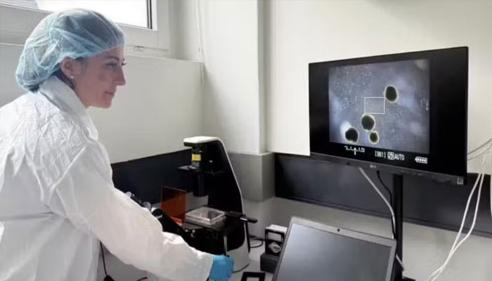 Scientists Grow Mini Human Brains for Computers