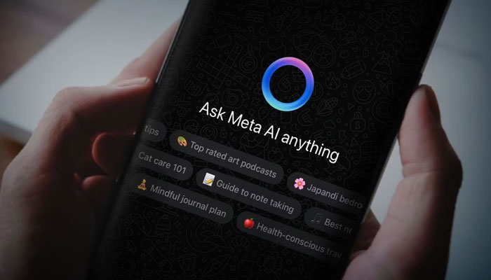 Pakistan Gets Urdu Version of Meta AI