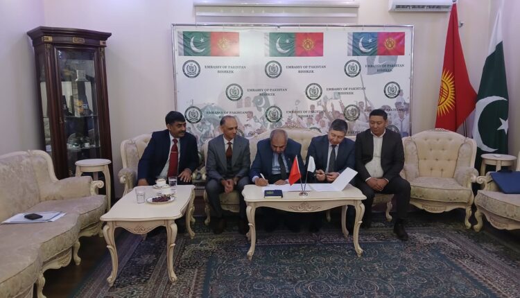 Film Collaboration Cultural Exchange Movie Production Joint Ventures Creative Partnerships