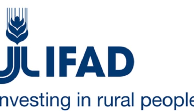 IFAD pledges to transform lives of at least 70 million small-scale food producers