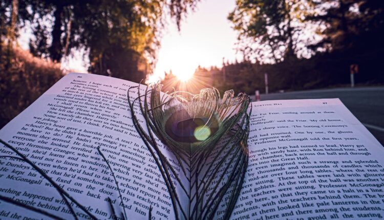 Simple Schooling Academic Pressure Contented Life