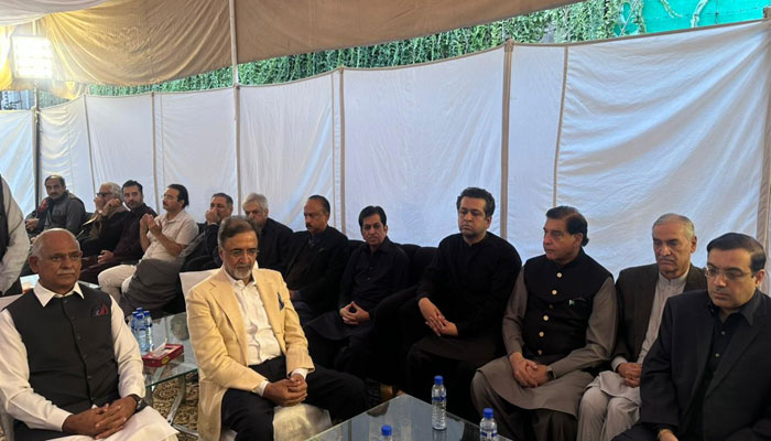 Raja Pervez Ashraf Says Presidential Immunity Ends Upon Leaving Office