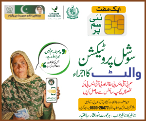 BISP 28/11/2025