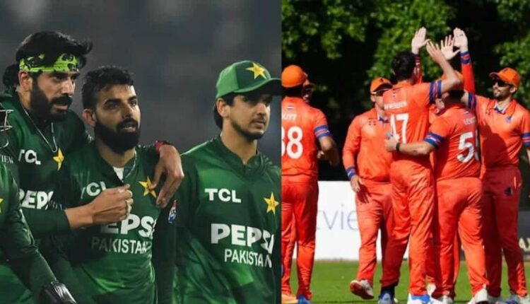 Pakistan Cricket T20 World Cup 2026 Salman Ali Agha Cricket Fans Pakistan Vs Netherlands