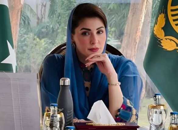 Digital Traffic App One Punjab Traffic Reforms Smart Governance Punjab News