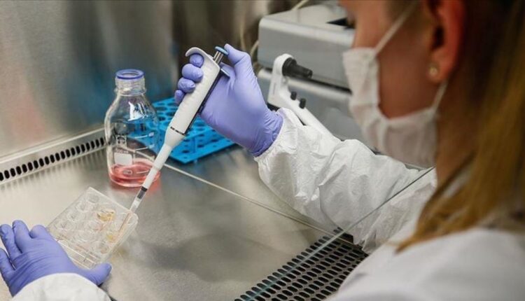 Japan Approves Stem-Cell Therapies for Parkinson’s, Heart Failure