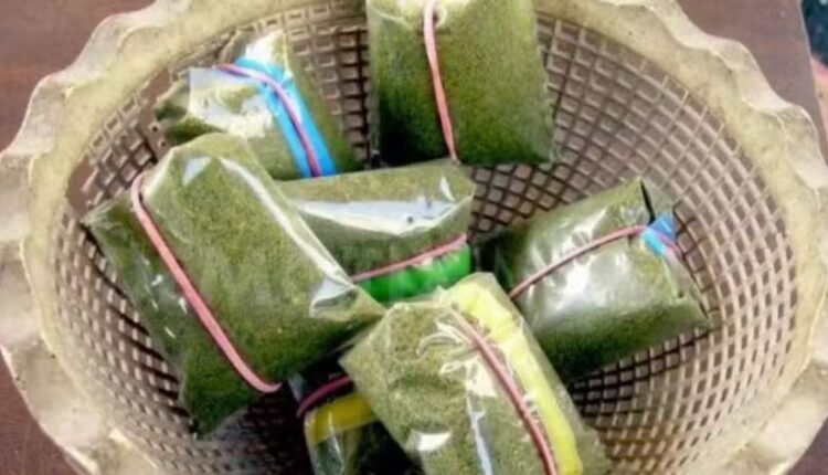 KP Assembly Secretariat Raises Objections to Naswar Regulation Bill 2026