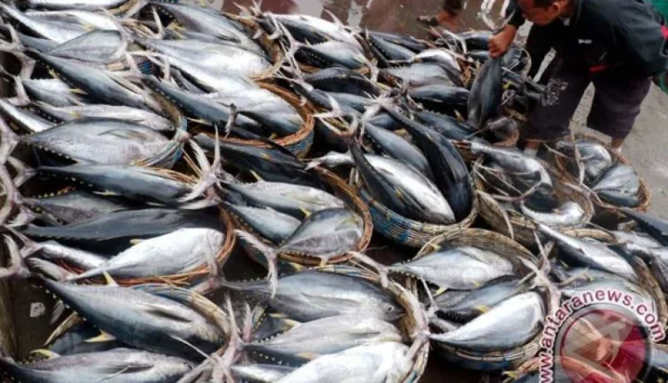 Pakistan Tuna Exports Europe Pakistan Maritime Growth IOTC Tuna Quota 2026 Europe Exports Seafood