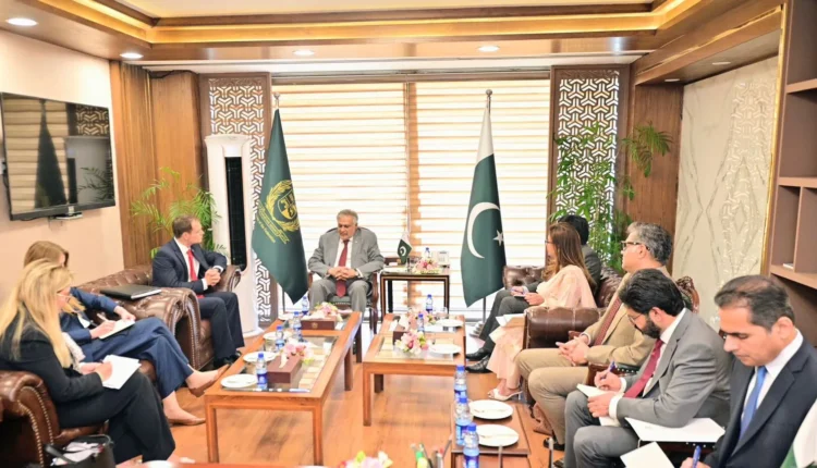 UK Pakistan Illegal Migration Crime Funding